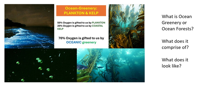 ocean greenery